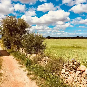 arthouse-campos.allmallorcahotels.com/